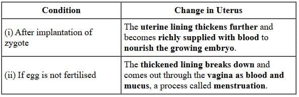 Q18: (A) (a) Define Puberty. List any two changes seen in boys at the time of puberty.(b) Why are testes in human males located outside the abdominal cavity in scrotum?(c) List any three techniques of contraception used by humans. Which one of these is not meant for males?   (5 Marks)OR (a) Name the part performing the following functions in human female reproductive system: (i) production of eggs, ii) site of fertilization, (iii) site of implantation, (iv) entry of the sperm. (b) What changes are observed in the uterus: (i) subsequent to implantation of zygote and (ii) if an egg does not get fertilized?  (5 Marks)