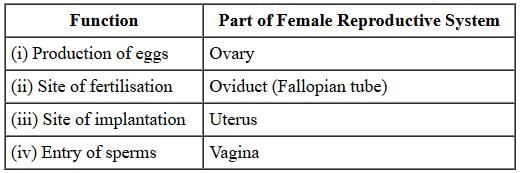 Q18: (A) (a) Define Puberty. List any two changes seen in boys at the time of puberty.(b) Why are testes in human males located outside the abdominal cavity in scrotum?(c) List any three techniques of contraception used by humans. Which one of these is not meant for males?   (5 Marks)OR (a) Name the part performing the following functions in human female reproductive system: (i) production of eggs, ii) site of fertilization, (iii) site of implantation, (iv) entry of the sperm. (b) What changes are observed in the uterus: (i) subsequent to implantation of zygote and (ii) if an egg does not get fertilized?  (5 Marks)