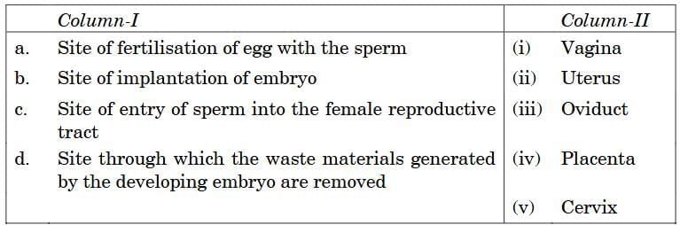 Q8: Match Column-I with Column-II and select the correct option from the choices provided.  (1 Mark)